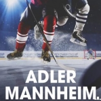 Radio Regenbogen Adler Mannheim