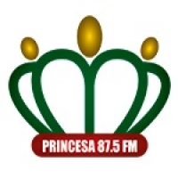 Rádio Princesa 87.5 FM