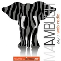 Ambush Radio