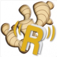Gingeradio