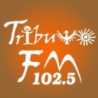 Radio Tributo 102.5 FM
