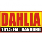 Radio Dahlia 101.5 FM