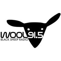 WOOL 100.1 FM